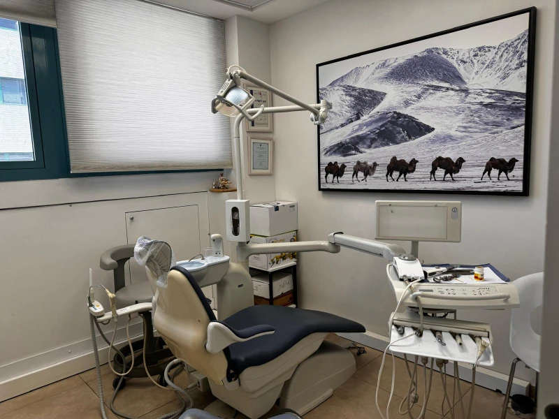 כמה עולה סתימה לבנה